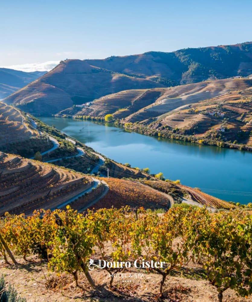 Douro Cister Hotel Resort Ucanha Bagian luar foto