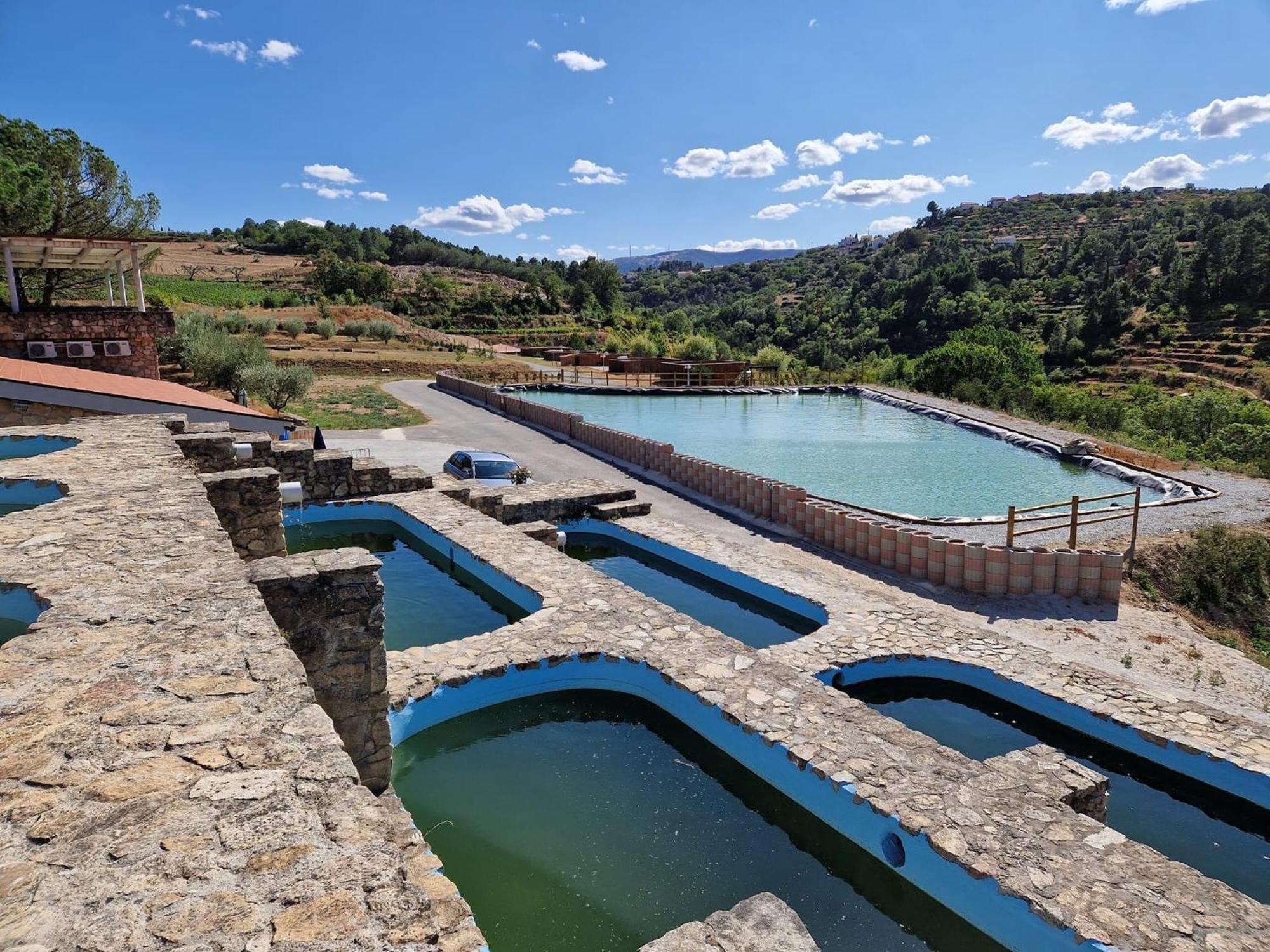Douro Cister Hotel Resort Ucanha Bagian luar foto